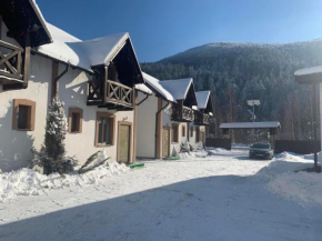 Карпатський Готель Олександрія, Mykulychyn